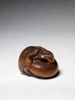 Tadayoshi snail netsuke